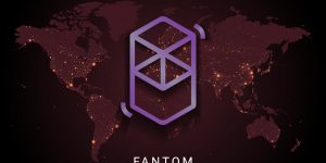 fantom-network-gID_2.jpg