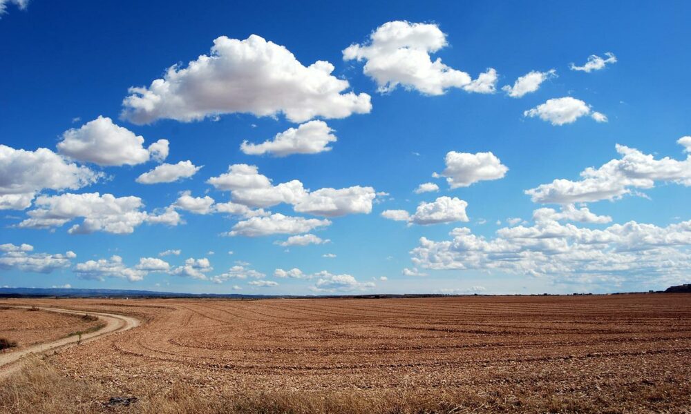 Field g46ad58322 1280 1 1000x600.jpg