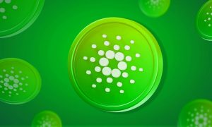 Cardano 7172952 1280 1000x600.jpg