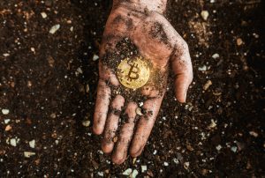 Istock 1314151934.jpg