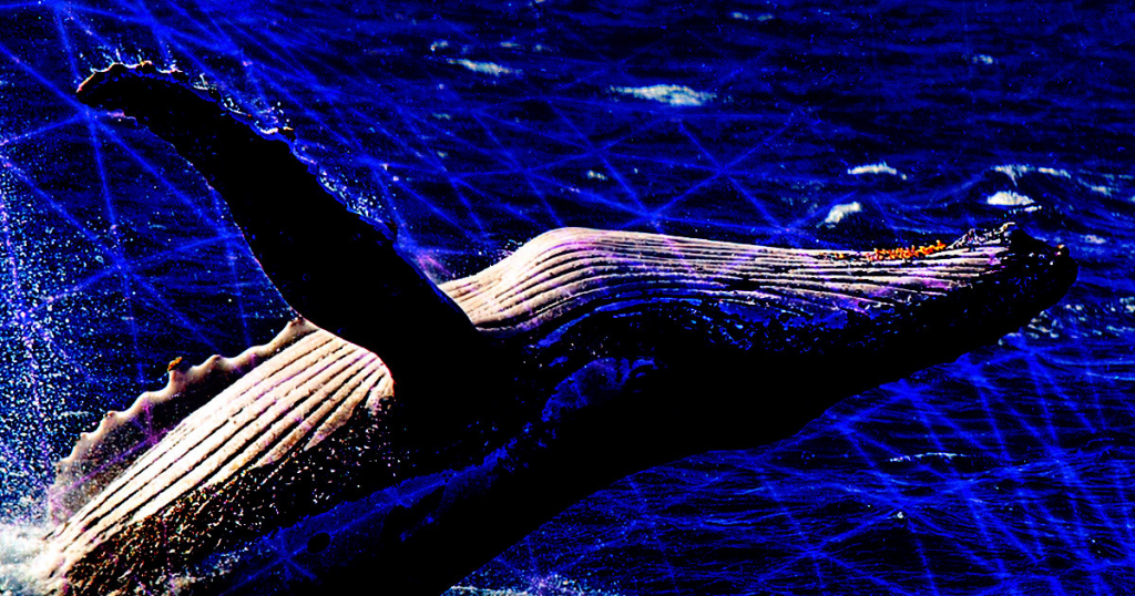 Image 2022 06 21 175138868.png