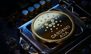 Michael fortsch 6ciqxsggam unsplash 1000x600.jpg