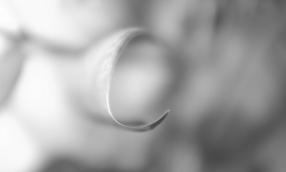 Peter balizs 2fyg0qrwyyq unsplash 1 1000x600.jpg