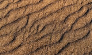 Y s oonoqfhh5gu unsplash 1 1000x600.jpg
