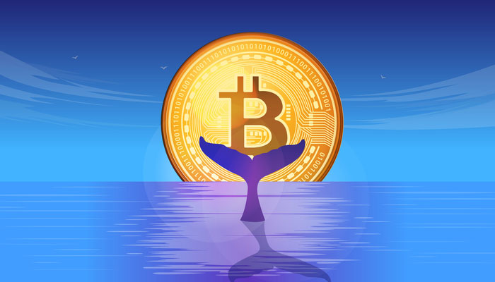 Maior baleia do bitcoin esta vendendo