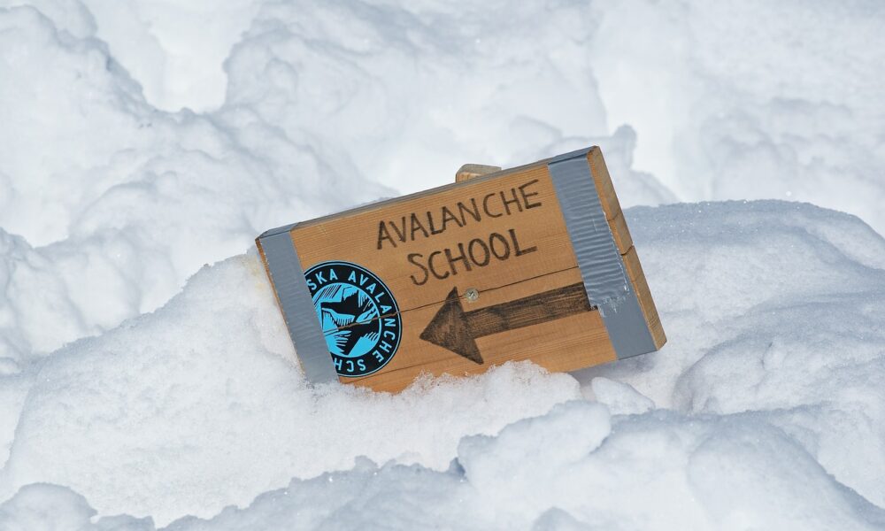 Avalanche 429643 1280 1000x600.jpg