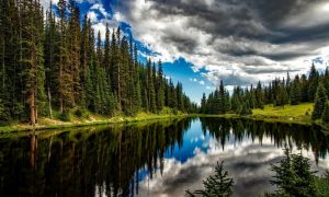 Lake 1679708 1280 1000x600.jpg