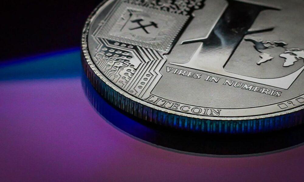 Litecoin gc98b3ec83 1280 1000x600.jpg