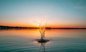 Lucas ludwig y38 dbwbcfi unsplash 1000x600.jpg