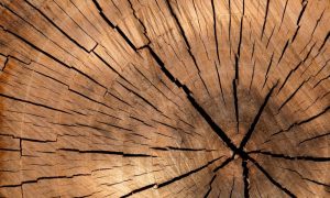 Lumber gb8b471f0b 1280 1000x600.jpg