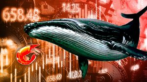 Shrimp whale bitcoin.jpg