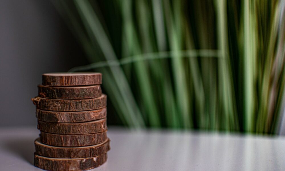 Tomas petz i51okig3bsu unsplash 1 1000x600.jpg