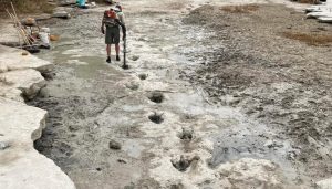 220823035138 04 dinosaur tracks discovered texas park exlarge 169.jpeg