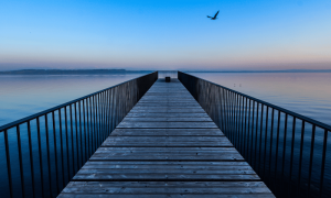 Flow featured 1000x600.png