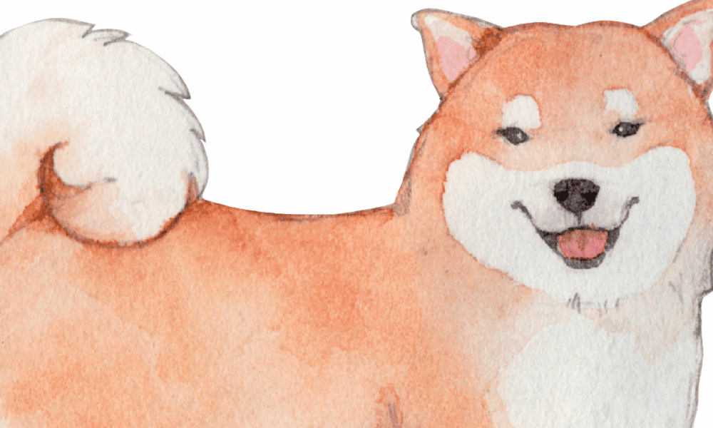 Untitled design 33 1000x600.png
