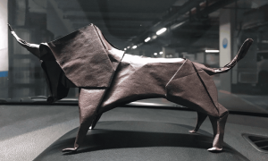 Untitled design 50 1000x600.png