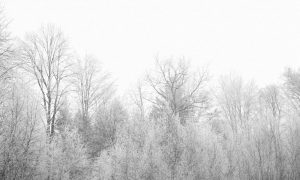 Autumn g5e53990ff 1280 1000x600.jpg