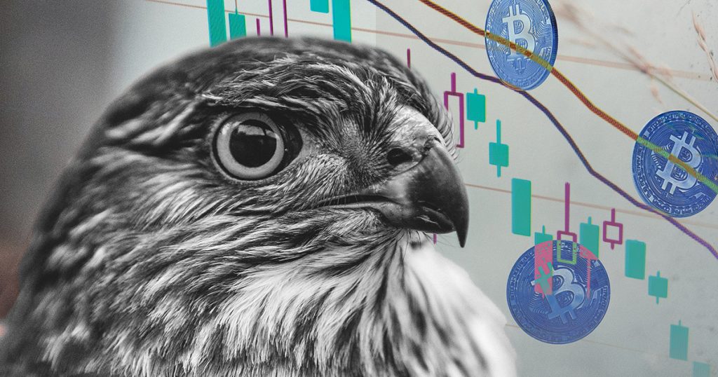 Bitcoin Hawk.jpg