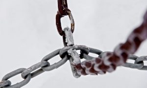 Bryson hammer jz8ahfr2aeg unsplash 1000x600.jpg