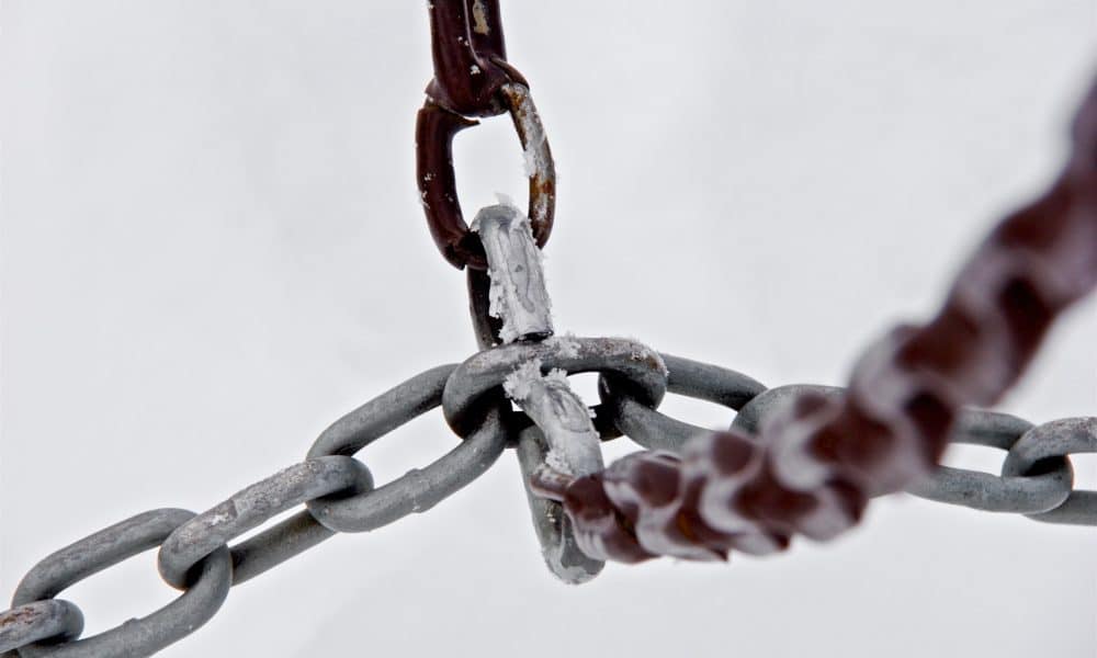 Bryson hammer jz8ahfr2aeg unsplash 1000x600.jpg