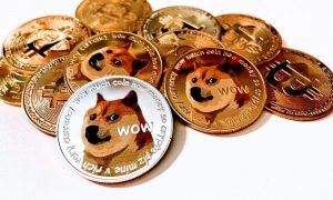 Dog g49f57a930 1280 1000x600.jpg