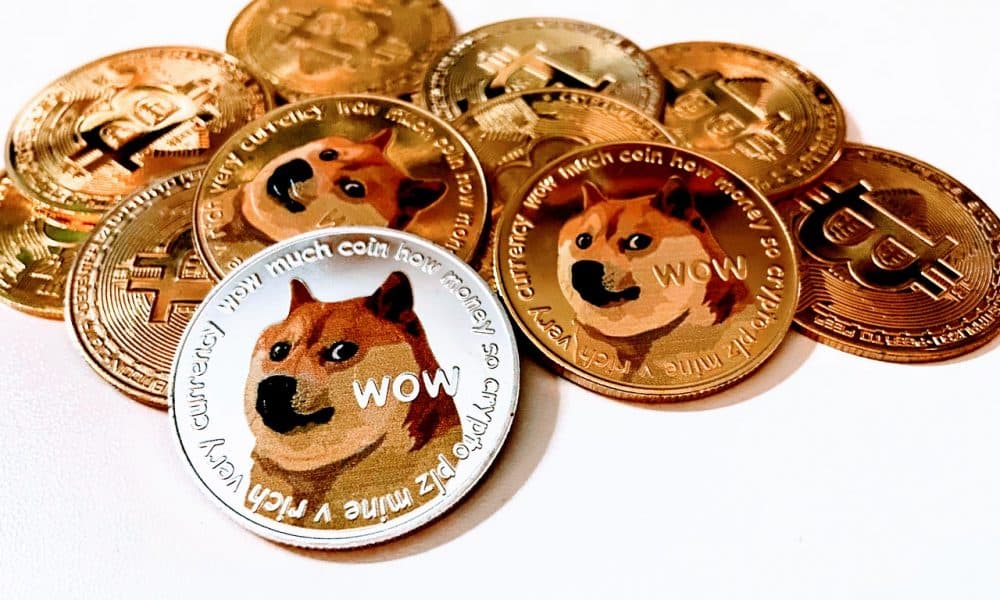 Dog g49f57a930 1280 1000x600.jpg