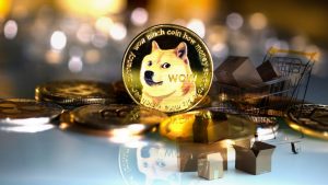 Doge.jpeg