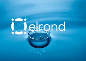 Elrond 1.png