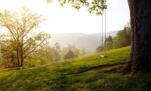 Ryan parker lsysetfee4k unsplash 1000x600.jpg