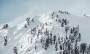 Sead dedic vdj9bh4k1x4 unsplash 1000x600.jpg