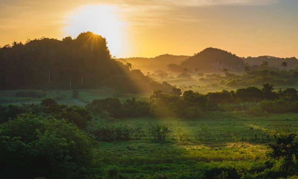 Yannes kiefer tuigi ee8 s unsplash 1000x600.jpg