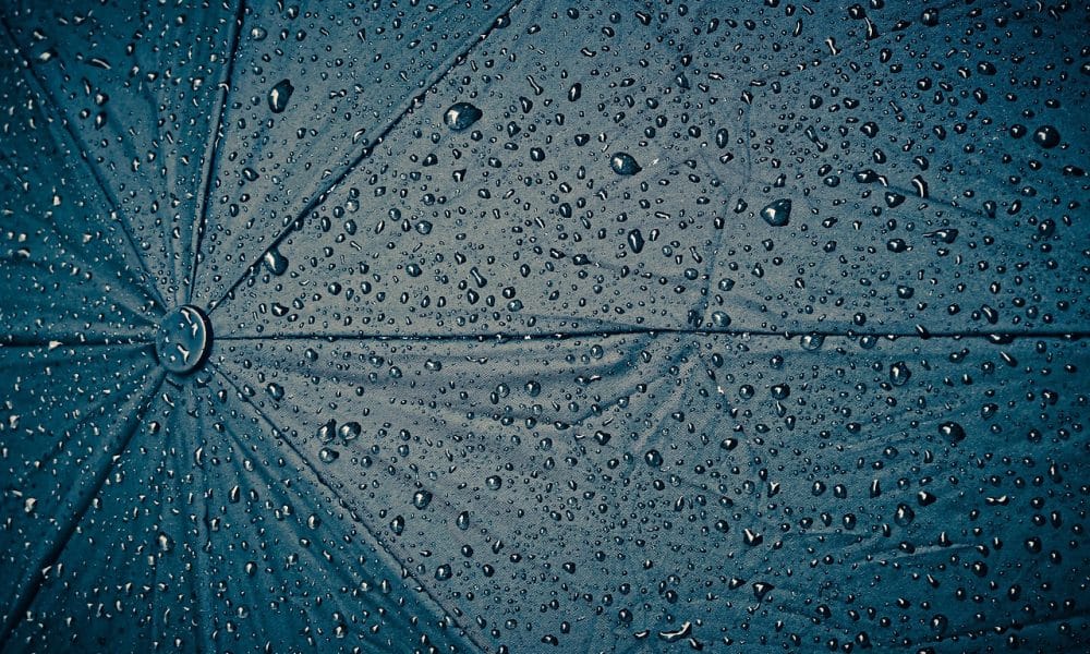 Pp 2 dot cover 1 1000x600.jpg