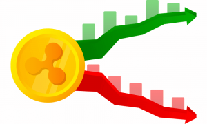 Untitled design 1 1000x600.png