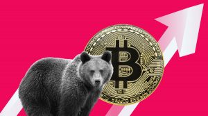 Bitcoin bear.jpeg