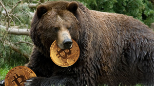 Btc bear.png