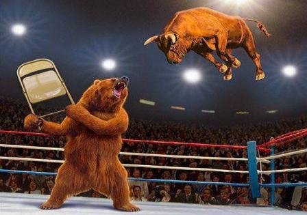 Bull bear fight.jpeg