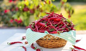 Cayenne peppers 2779828 1280 1000x600.jpg