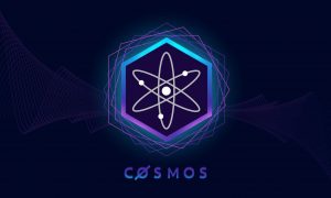Cosmos.jpeg
