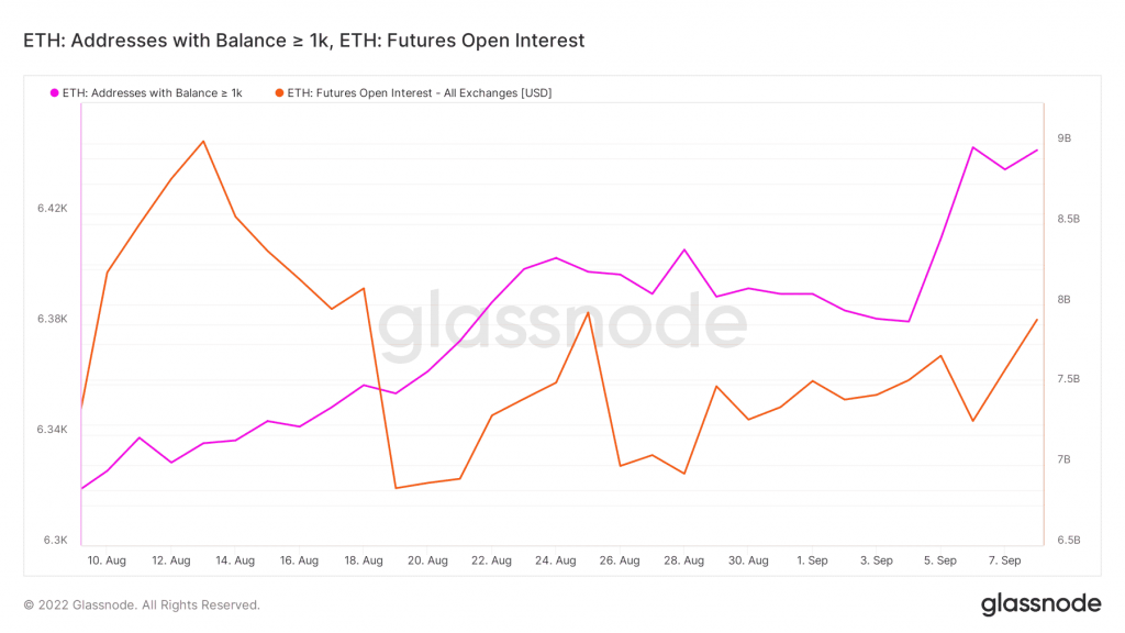 Glassnode studio eth addresses with balance 1k eth futures open interest.png