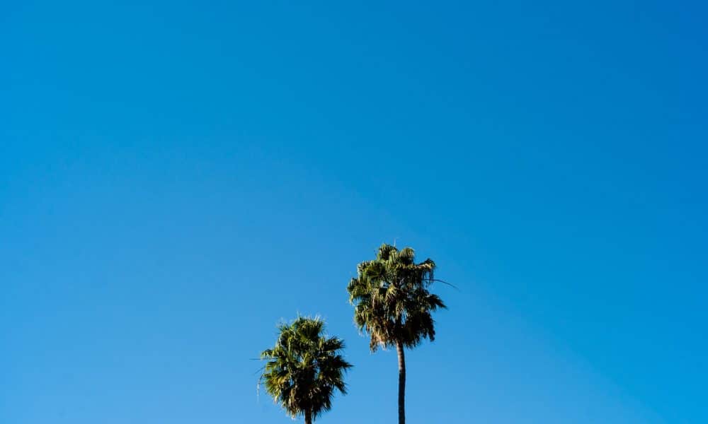 Hamish duncan 7qugzvpp9xa unsplash 1000x600.jpg