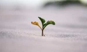 Jeremy bishop vgjgvtsfys4 unsplash 1 1000x600.jpg