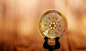 Kanchanara pcwoez71s1e unsplash 1 1000x600.jpg