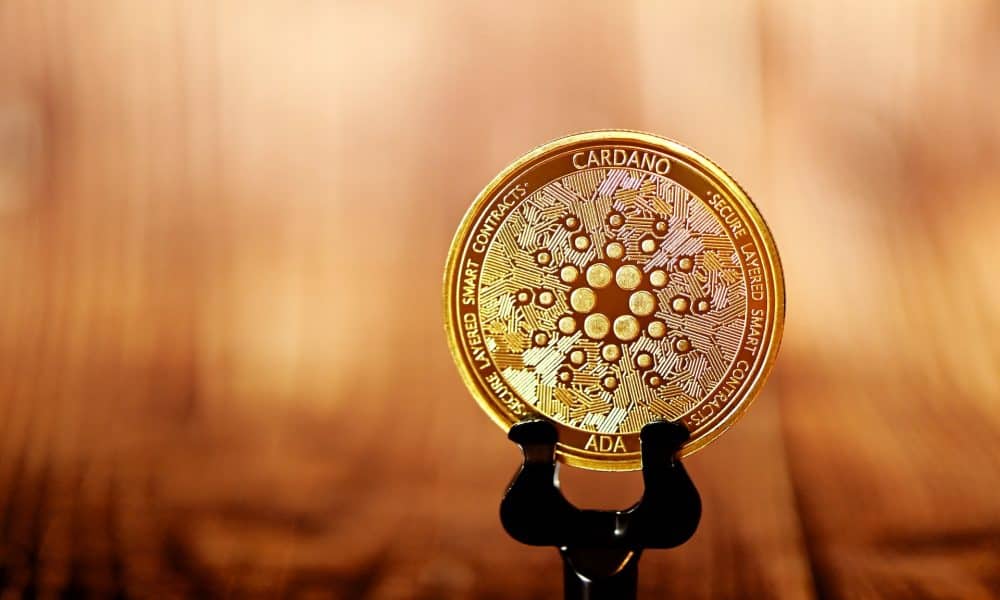 Kanchanara pcwoez71s1e unsplash 1000x600.jpg