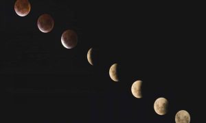 Linda xu ksomzsgjlsa unsplash 1 1000x600.jpg