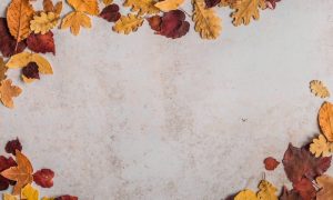Marion botella rii0magbhpy unsplash 1000x600.jpg