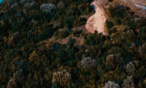 Miti xxk8jxe4hkc unsplash 1000x600.jpg