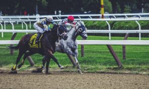Noah silliman fxao3dimici unsplash 1000x600.jpg