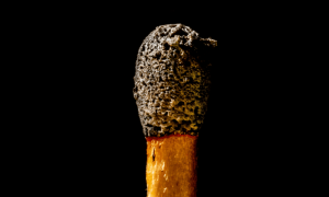 Po 21 1000x600.png