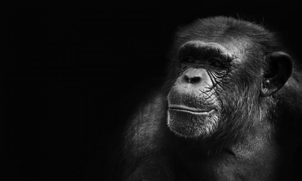 Rishi ragunathan fs6nphymn7o unsplash 1000x600.jpg