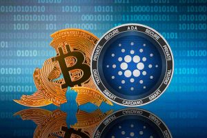 Bitcoin embrulhado está chegando na cardano